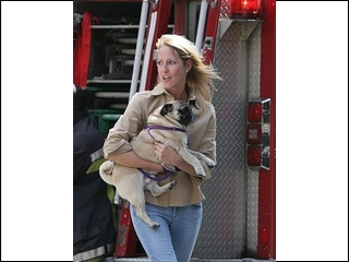 lucky dog